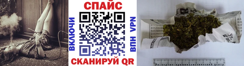 где найти   Алейск  БУТИРАТ буратино 