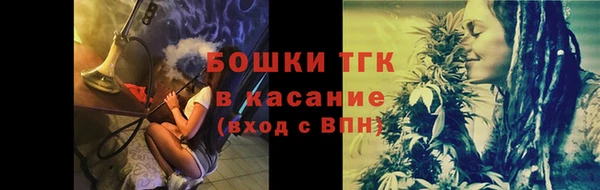крисы Алексин