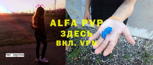 крисы Алексин