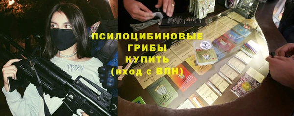 крисы Алексин