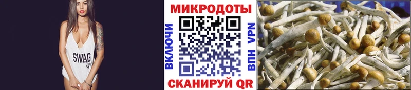 Псилоцибиновые грибы мухоморы  Алейск 